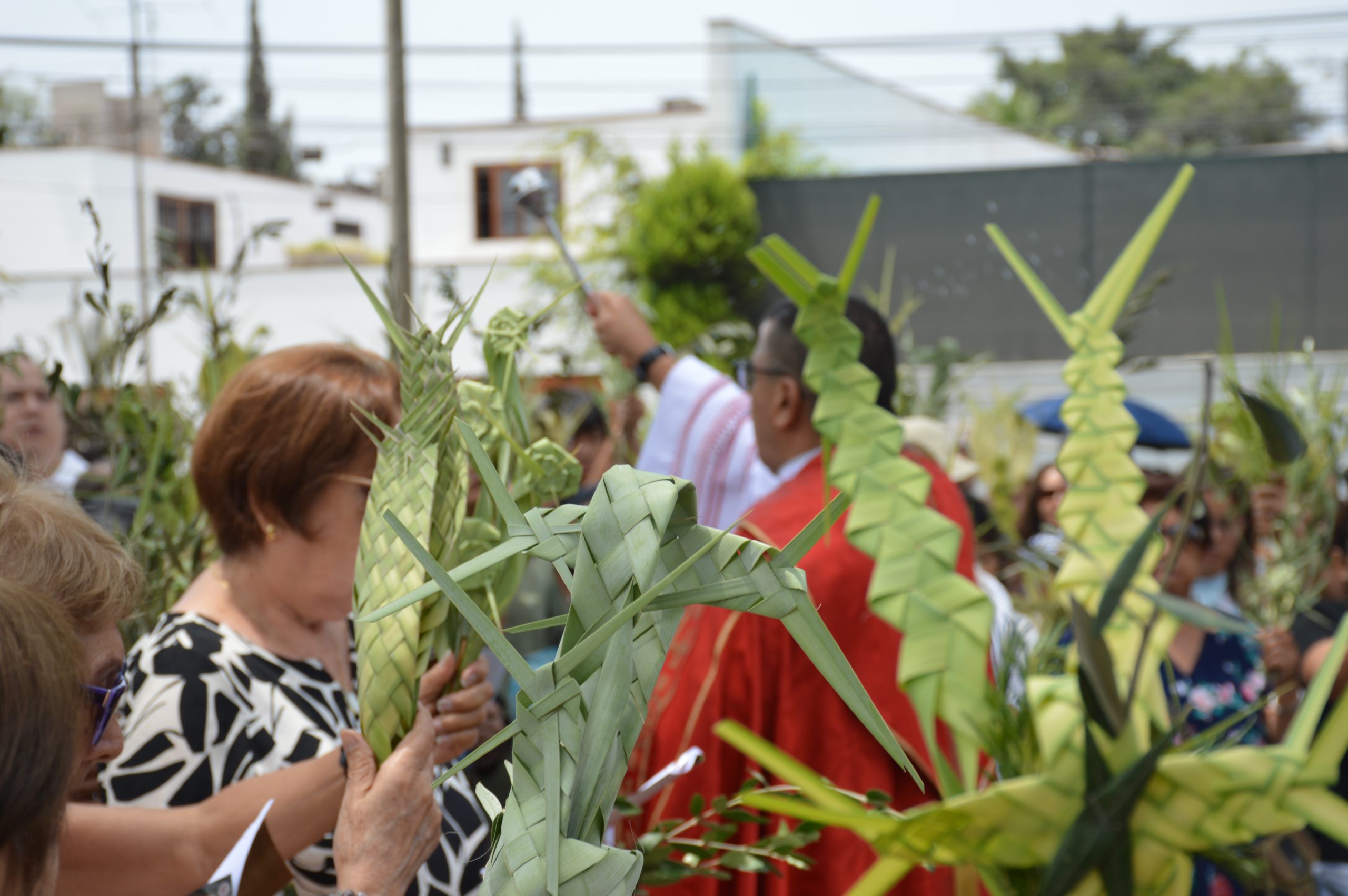 Nuestra parroquia dio inicio a la Semana Santa con el Domingo de Ramos